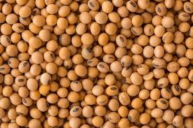 Soybeans